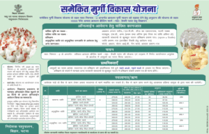 Bihar Murgi Palan Yojana 2025 New Notification