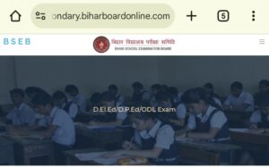 Bihar DELED Dummy Admit Card 2025 Download