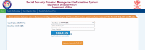 Bihar Old Age Pension Yojana Online Apply 2025 Status