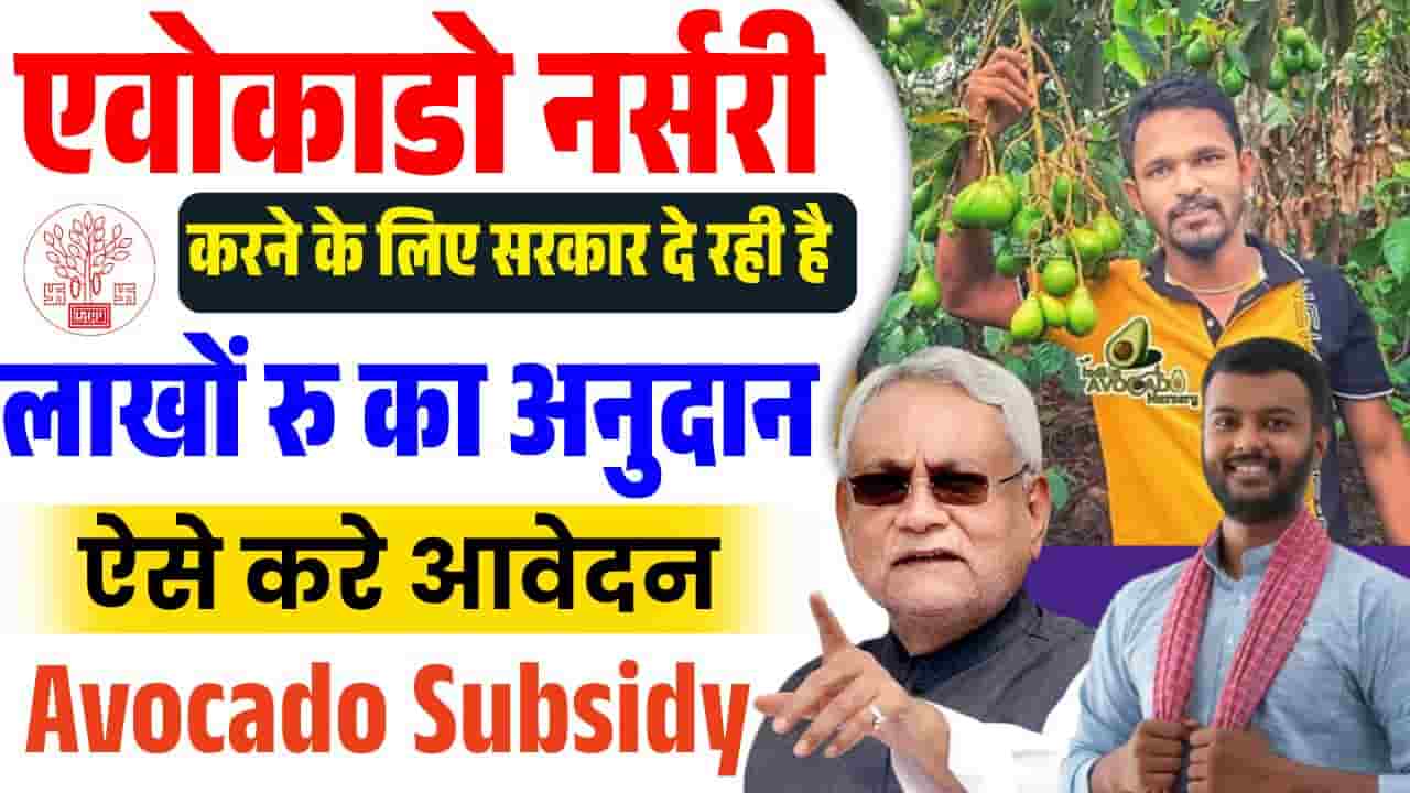Bihar Avocado Nursery Yojana 2025