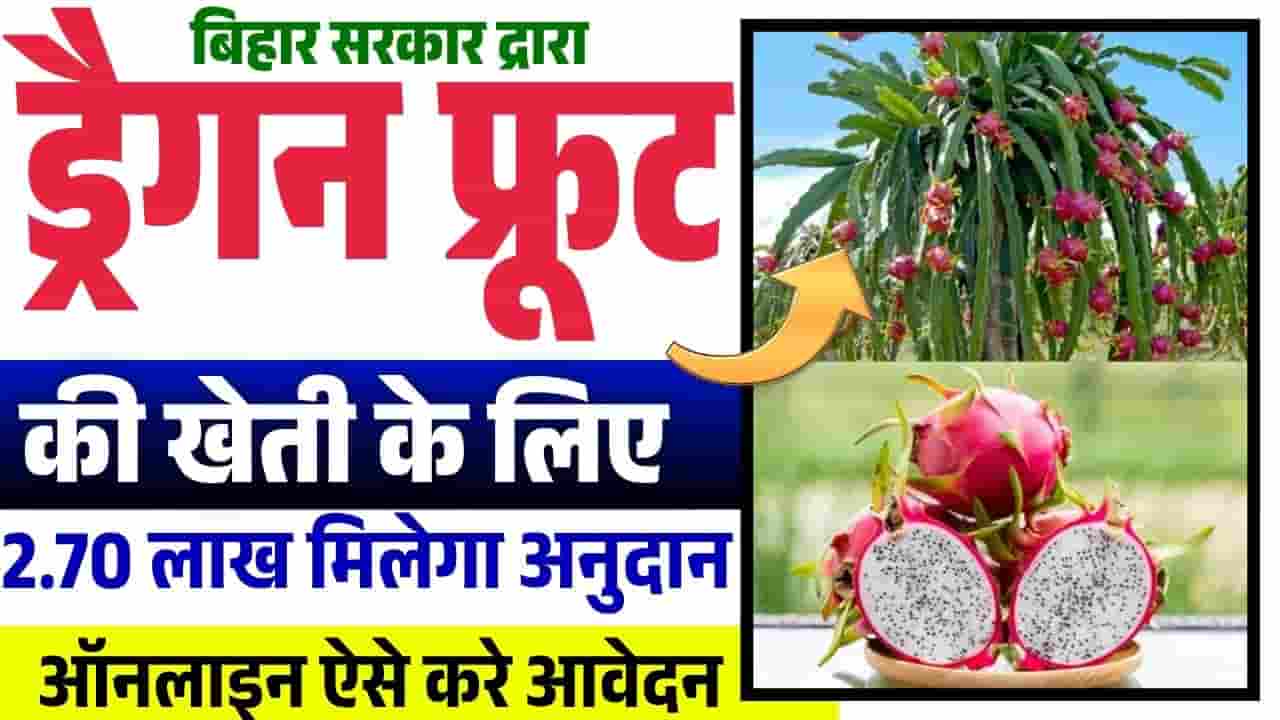 Bihar Dragon Fruit Vikas Yojana 2025