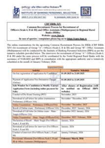 IBPS RRB Clerk Vacancy 2025