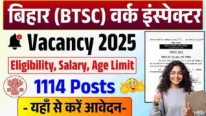 BTSC Work Inspector Vacancy 2025