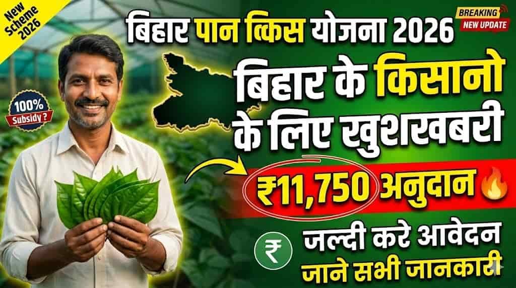 Bihar Paan Vikas Yojana 2026